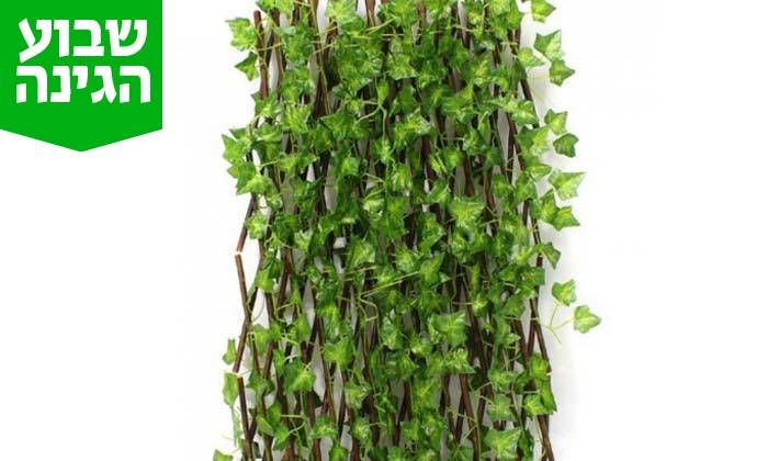 2 גדר עלים דקורטיבית 