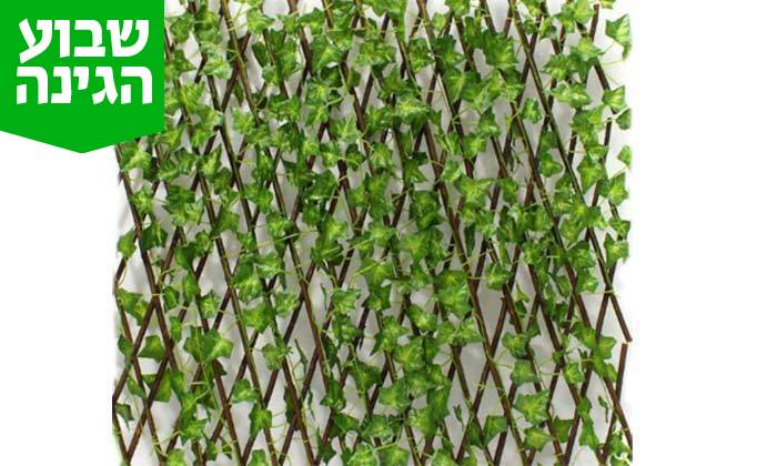 4 גדר עלים דקורטיבית 