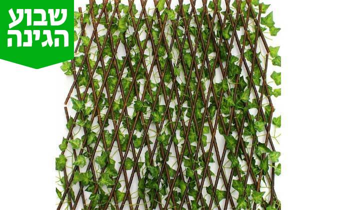 3 גדר עלים דקורטיבית 