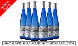 משלוח 6 בקבוקי גווירצטרמינר