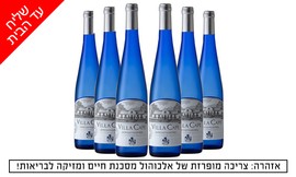 משלוח 6 בקבוקי גווירצטרמינר