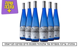 משלוח 6 בקבוקי גווירצטרמינר