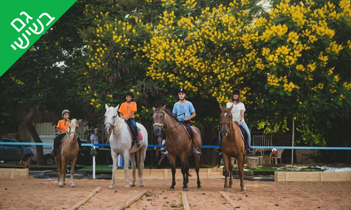 4 טיול רכיבה על סוסים בעין ורד
