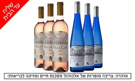 6 בקבוקי יין במשלוח עד הבית