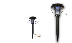 זוג קטלני יתושים סולאריים