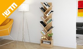 ספרייה דגם קליפורניה