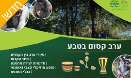 פסטיבל ואטרקציות במקלט הקופים