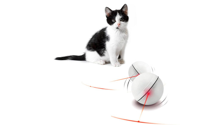 5 כדור משחק LED אינטראקטיבי לחתול - משלוח חינם