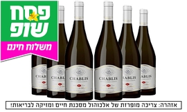 6 בקבוקי יין שאבלי כולל משלוח
