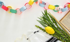 סט 4 המינים כולל נרתיק ומשלוח