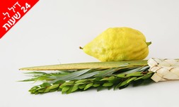 סט 4 המינים לסוכה כולל משלוח