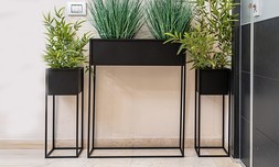 3 מעמדים לעציצים