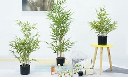 צמחים מלאכותיים במגוון צבעים