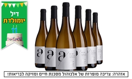 משלוח 6 בקבוקי אדיר A לבן