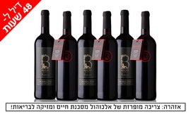 6 יינות Bazak Winery במשלוח