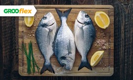 שובר ל-60 ₪ הנחה באתר Fly Fish