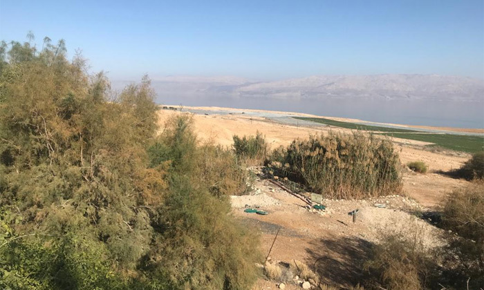 7 עצמאות בים המלח: סיור אהבה לסביבה מסביב למפעל AHAVA 7 עצמאות בים המלח: סיור אהבה לסביבה מסביב למפעל AHAVA