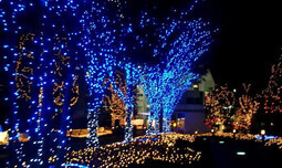 מארז 3 שרשראות תאורה סולאריות