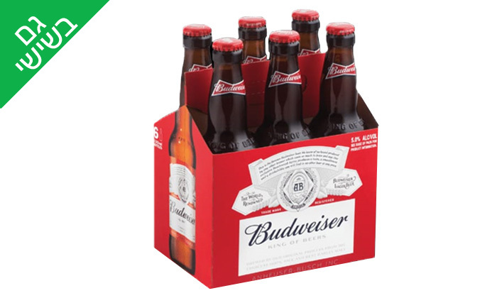 4 ארגז 24 בקבוקי בירה Budweiser במשלוח חינם מטל משקאות
