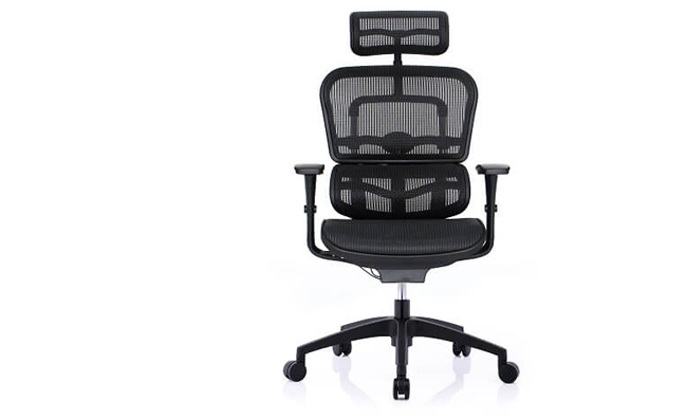 5 כיסא משרדי אורתופדי Comfort דגם ERGOHUMAN
