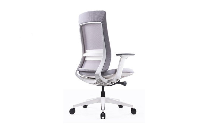 6 כיסא משרדי אורתופדי SITPLUS דגם אלביט