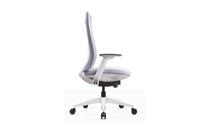 7 כיסא משרדי אורתופדי SITPLUS דגם אלביט