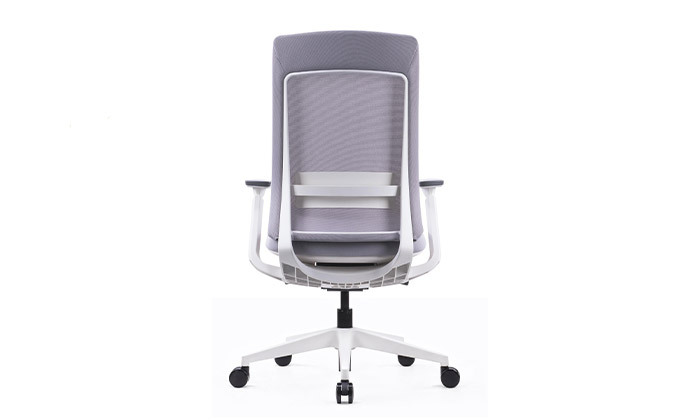 8 כיסא משרדי אורתופדי SITPLUS דגם אלביט