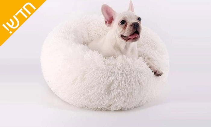 4 אניפט: מיטת פונצ'יק לכלבים קטנים - צבע לבחירה