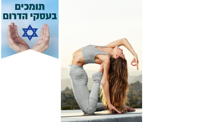 6 חזיית ספורט Alo Yoga דגם Wellness Bra בצבע אפור