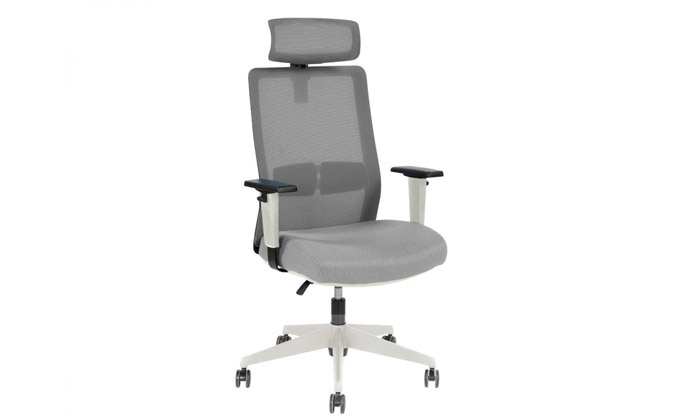 5 ד"ר גב: כיסא מנהלים דגם Master - צבעים לבחירה