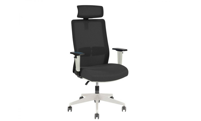 6 ד"ר גב: כיסא מנהלים דגם Master - צבעים לבחירה