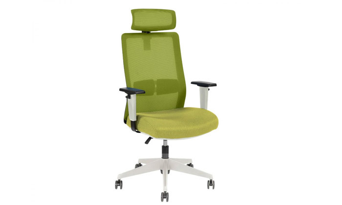3 ד"ר גב: כיסא מנהלים דגם Master - צבעים לבחירה