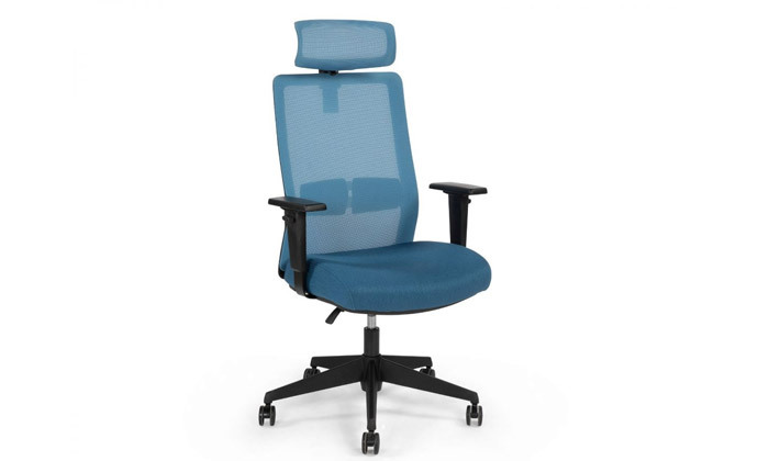 7 ד"ר גב: כיסא מנהלים דגם Master - צבעים לבחירה