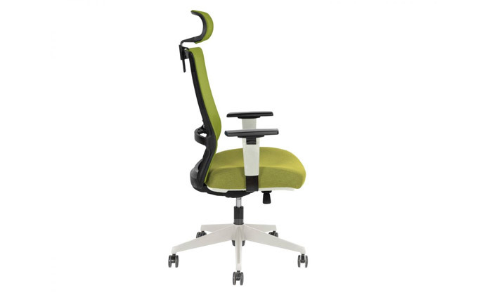 4 ד"ר גב: כיסא מנהלים דגם Master - צבעים לבחירה
