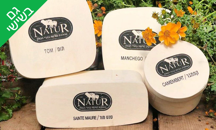 5 כיף ברמת הגולן: בראנץ' או סדנה להכנת גבינות במחלבת NATUR הכשרה