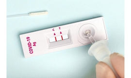 מארז 10 בדיקות אנטיגן ביתיות