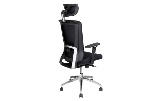 4 ד"ר גב: כיסא מחשב דגם LINK