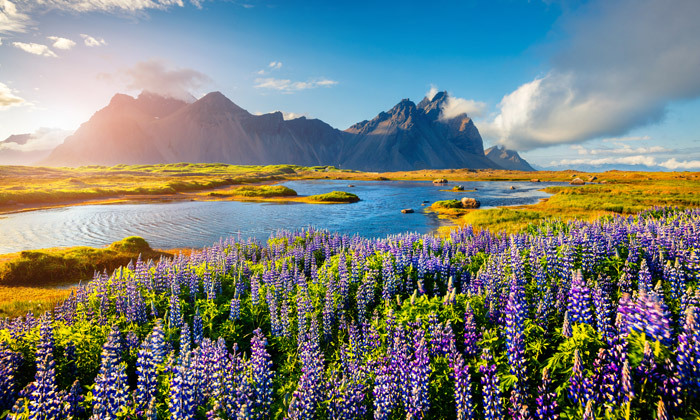 2 לחוות את הטבע באיסלנד: 8 ימים מאורגנים עם טיסות ישירות - כולל הלגונה הכחולה והחולות השחורים