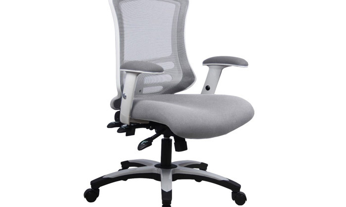 4 ד"ר גב: כיסא משרדי דגם FLEX-GREY - צבעים לבחירה