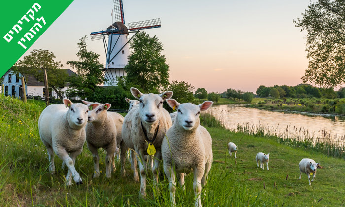 3 חופשה משפחתית בהולנד: 7 לילות בכפר נופש, טיסות ישירות ורכב צמוד - גם בחגי תשרי