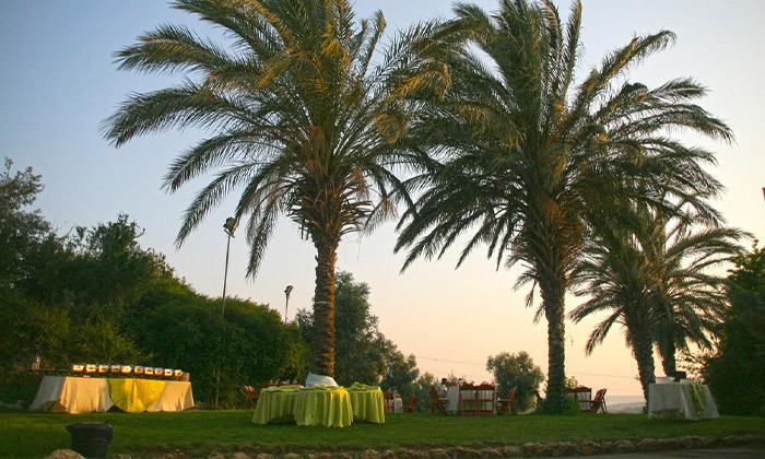 4 בין העמקים: חופשה במלון נווה שלום עם ארוחת בוקר - גם בסופ"ש 4 בין העמקים: חופשה במלון נווה שלום עם ארוחת בוקר - גם בסופ"ש