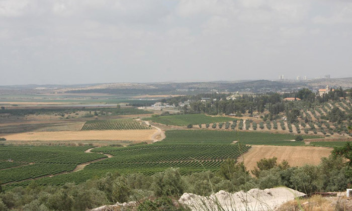 13 בין העמקים: חופשה במלון נווה שלום עם ארוחת בוקר - גם בסופ"ש 13 בין העמקים: חופשה במלון נווה שלום עם ארוחת בוקר - גם בסופ"ש