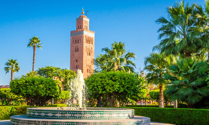 5 מרקש, רבאט ועמק האוריקה: טיול מאורגן 8 ימים במרוקו ע"ב חצי פנסיון, כולל סיורים וטיסות 5 מרקש, רבאט ועמק האוריקה: טיול מאורגן 8 ימים במרוקו ע"ב חצי פנסיון, כולל סיורים וטיסות