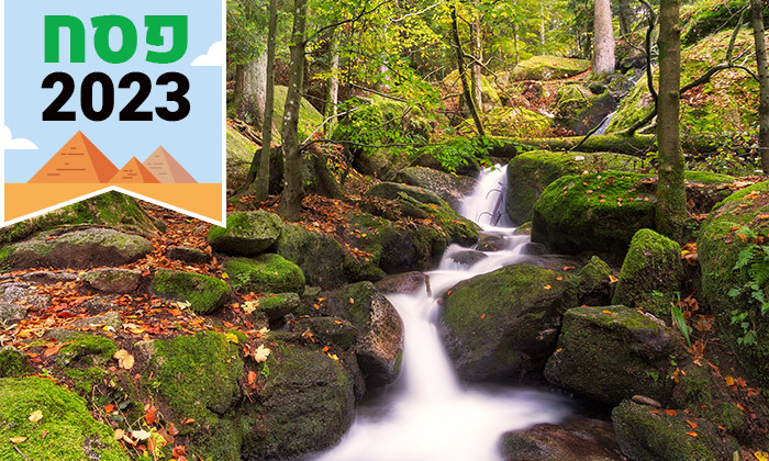 11 בפסח מטיילים ביער השחור: 6 לילות במלון, טיסות Lufthansa למינכן ורכב שכור