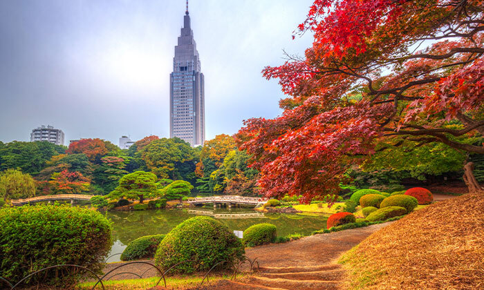 4 טיול מאורגן ביפן: 15 ימים בין ערים מודרניות למקדשים עתיקים, כולל סדנת סושי, טיסות וסיורים