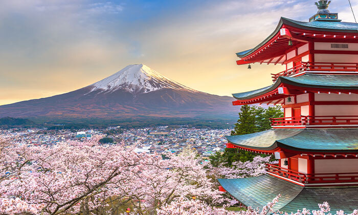 6 טיול מאורגן ביפן: 15 ימים בין ערים מודרניות למקדשים עתיקים, כולל סדנת סושי, טיסות וסיורים