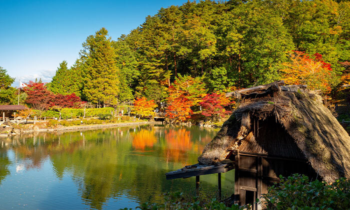8 טיול מאורגן ביפן: 15 ימים בין ערים מודרניות למקדשים עתיקים, כולל סדנת סושי, טיסות וסיורים
