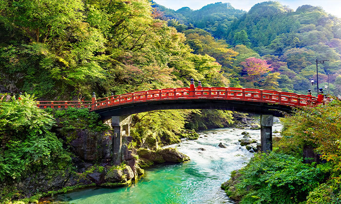 28 טיול מאורגן ביפן: 15 ימים בין ערים מודרניות למקדשים עתיקים, כולל סדנת סושי, טיסות וסיורים