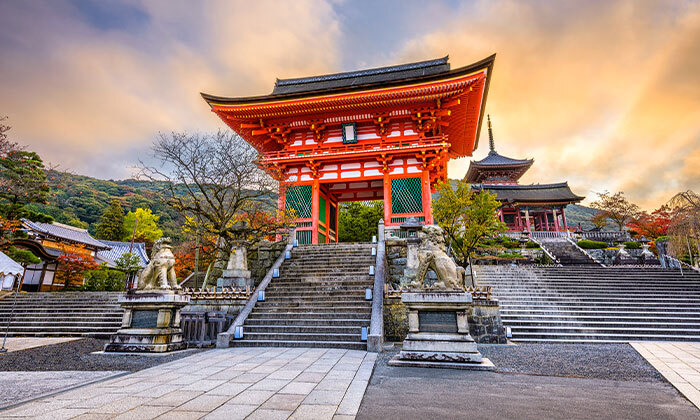 7 מסע בלתי נשכח: 13 ימי טיול מאורגן ביפן כולל סיורים, מקדשים וטיסות אל על ישירות
