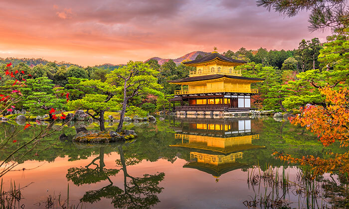 10 מסע בלתי נשכח: 13 ימי טיול מאורגן ביפן כולל סיורים, מקדשים וטיסות אל על ישירות
